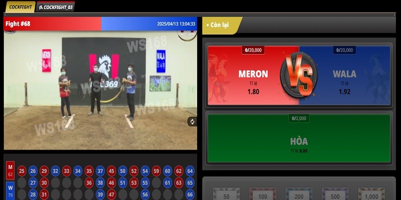 Video trực tuyến một trận đấu tại Đá gà ABC8