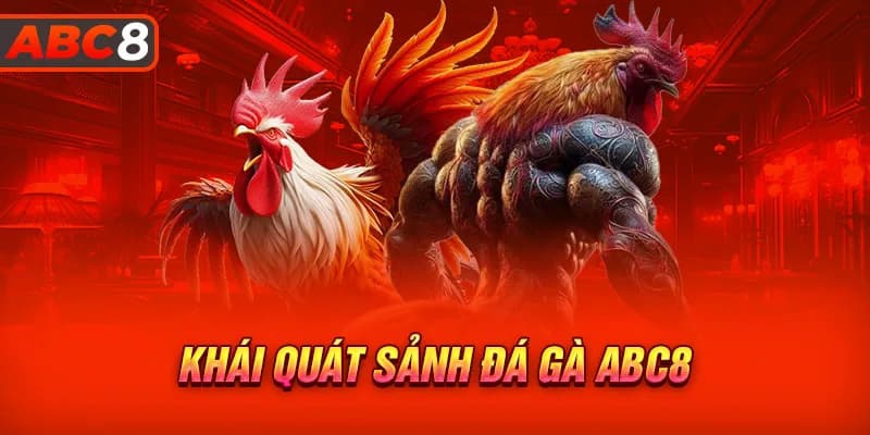 Giới thiệu đôi nét về sân chơi Đá gà ABC8